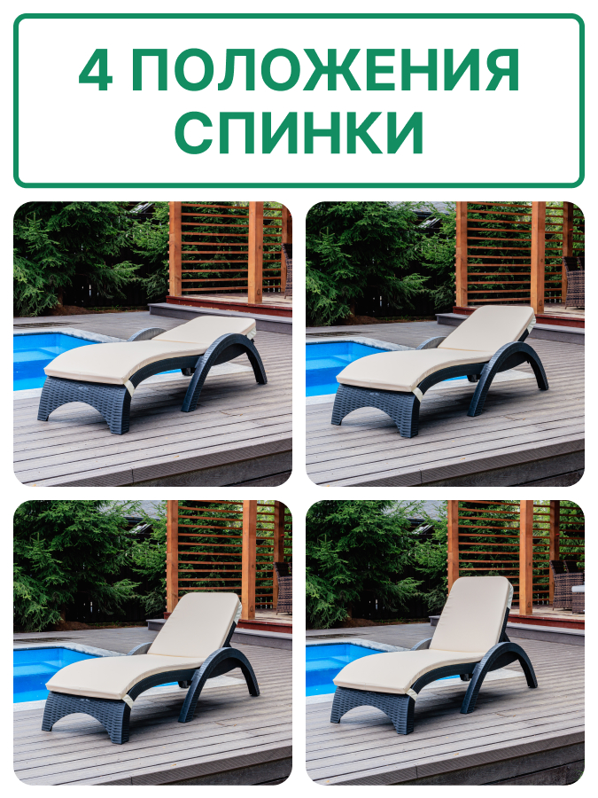 Пластиковый шезлонг Royal Family MARK антрацит (с матрасом) 4